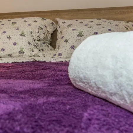 Andrija シベニク